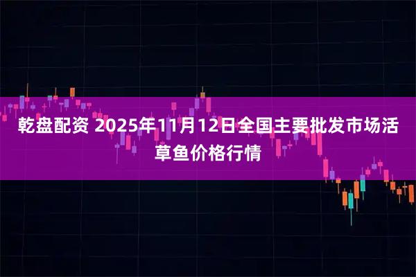 乾盘配资 2025年11月12日全国主要批发市场活草鱼价格行情