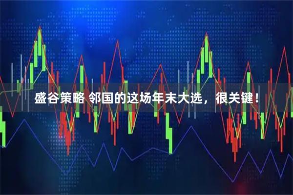 盛谷策略 邻国的这场年末大选，很关键！