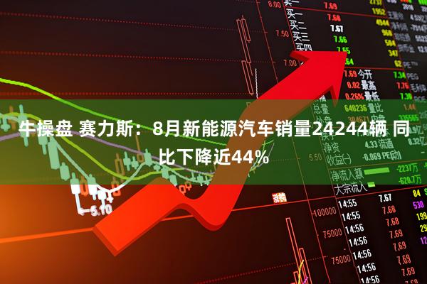 牛操盘 赛力斯：8月新能源汽车销量24244辆 同比下降近44%